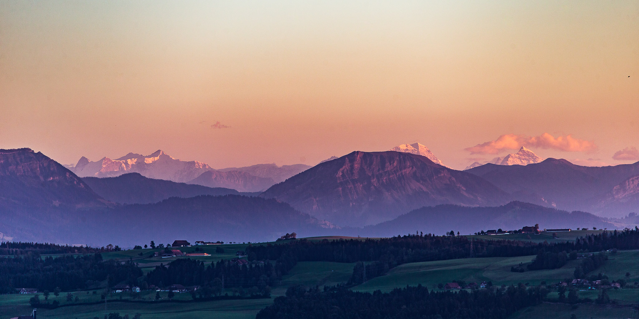 Export x3 1DX 7547 Hochzeit 2015 Julia & David